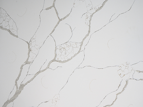 Calacatta Marmi Quartz Wall 