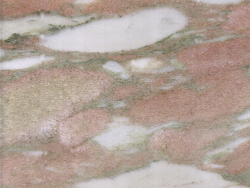 Calacatta Viola Marble Texture