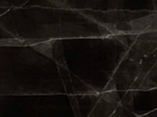 Sahara Noir Marble Texture