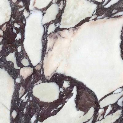 Calacatta Viola Marble