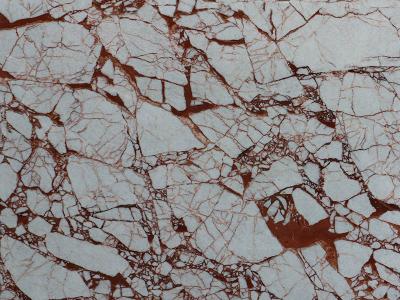 Red Spider  Marble