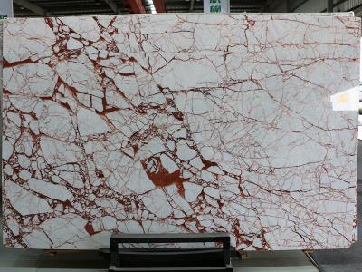 Red Spider  Marble