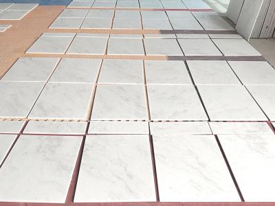 White Marble Tiles